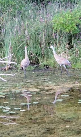 14807 Huyck Lake Lane, Marcellus, MI 49067