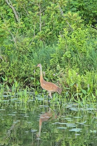 14807 Huyck Lake Lane, Marcellus, MI 49067