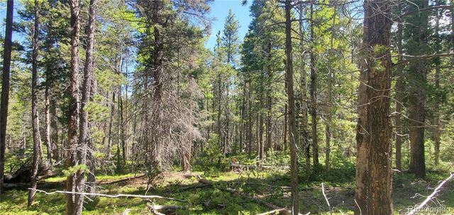 Lot 2914 Forbes Loop, Fort Garland, CO 81133
