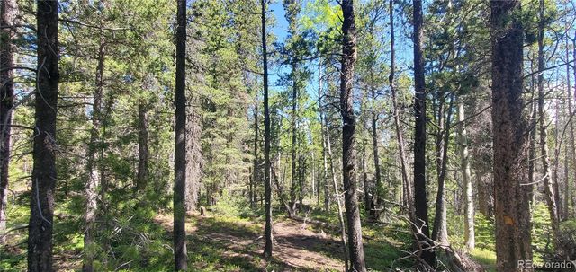Lot 2914 Forbes Loop, Fort Garland, CO 81133