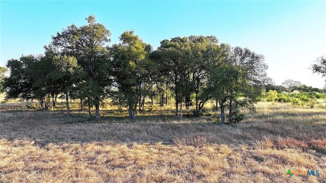 Lot 4 County Road 220, Briggs, TX 78608