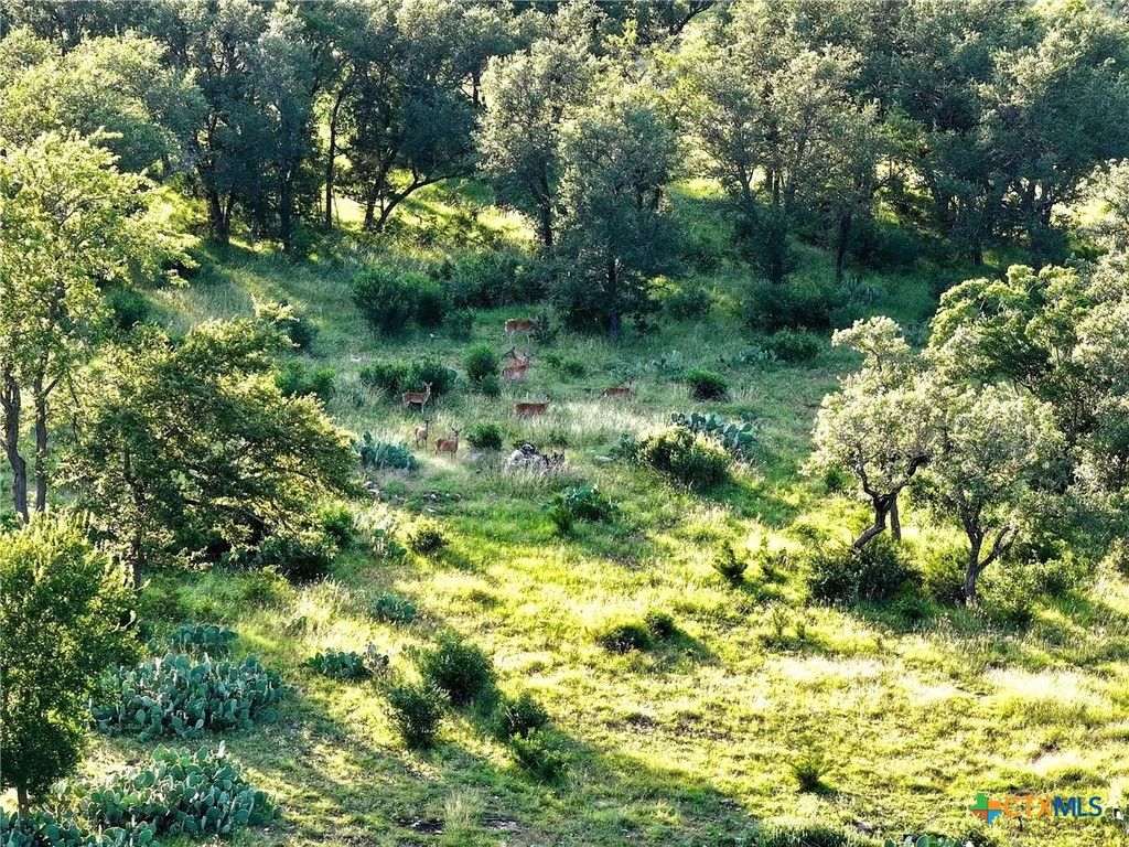 Lot 4 County Road 220, Briggs, TX 78608