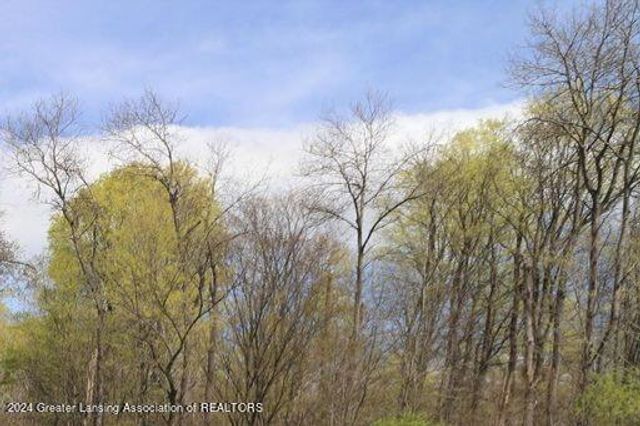 2668 Maritime Drive, Lansing, MI 48911