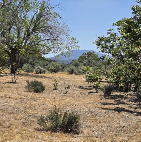 37230 Bautista Canyon, Anza, CA 92539