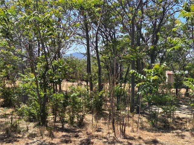 37230 Bautista Canyon, Anza, CA 92539
