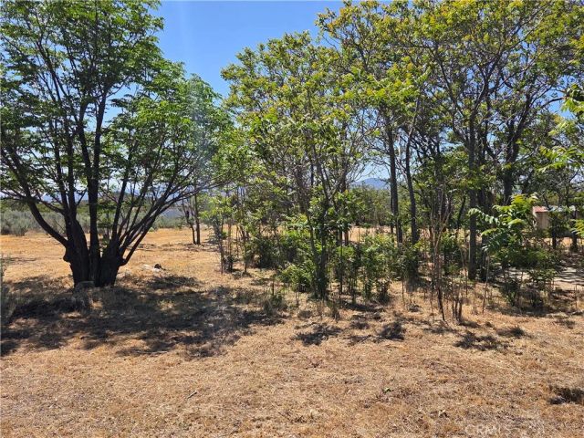 37230 Bautista Canyon, Anza, CA 92539