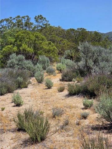 37230 Bautista Canyon, Anza, CA 92539