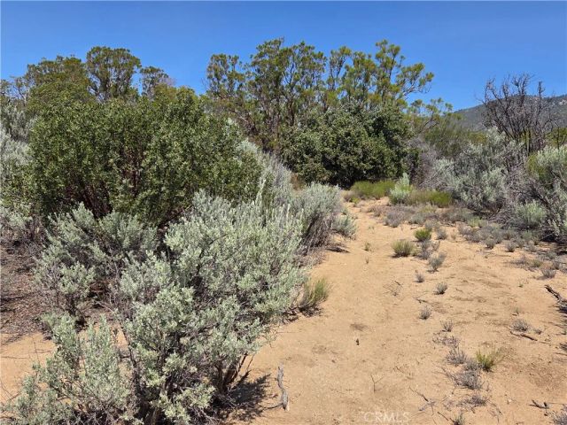 37230 Bautista Canyon, Anza, CA 92539