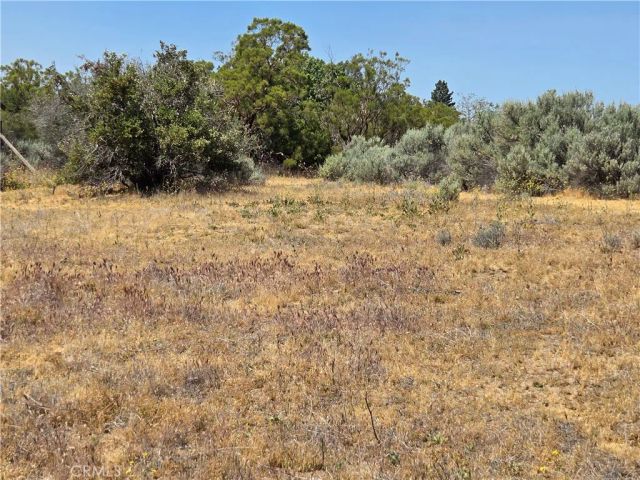 37230 Bautista Canyon, Anza, CA 92539