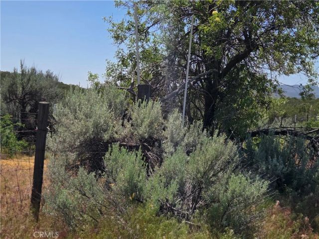 37230 Bautista Canyon, Anza, CA 92539