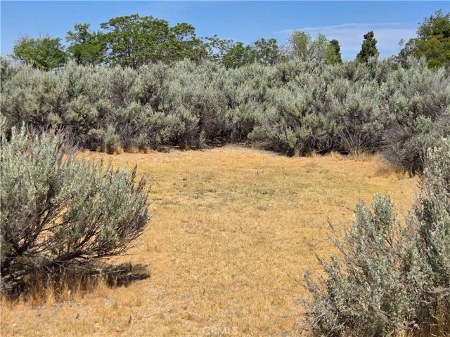 37230 Bautista Canyon, Anza, CA 92539
