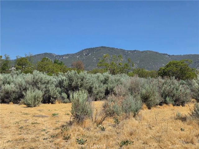 37230 Bautista Canyon, Anza, CA 92539