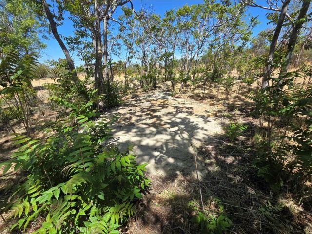 37230 Bautista Canyon, Anza, CA 92539