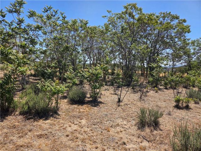 37230 Bautista Canyon, Anza, CA 92539