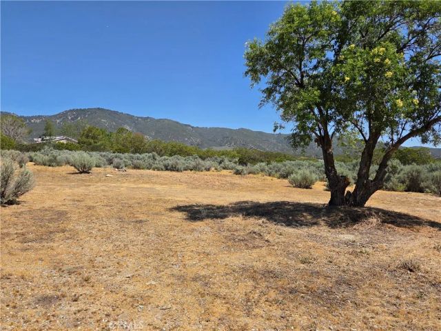 37230 Bautista Canyon, Anza, CA 92539