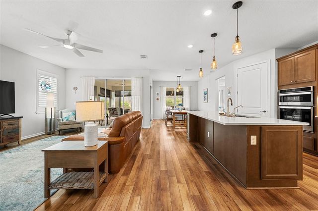 19469 SEA GLASS CIRCLE, Land O Lakes, FL 34638