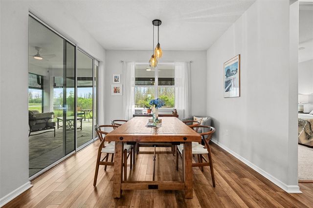 19469 SEA GLASS CIRCLE, Land O Lakes, FL 34638