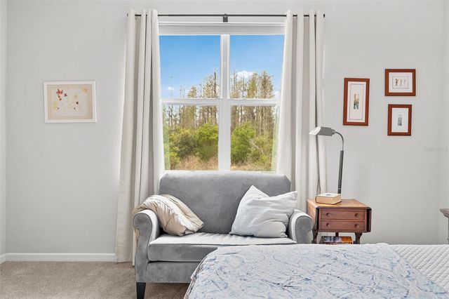 19469 SEA GLASS CIRCLE, Land O Lakes, FL 34638