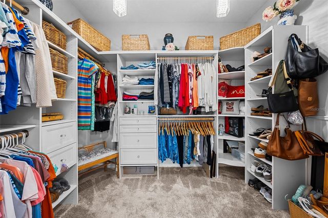 19469 SEA GLASS CIRCLE, Land O Lakes, FL 34638