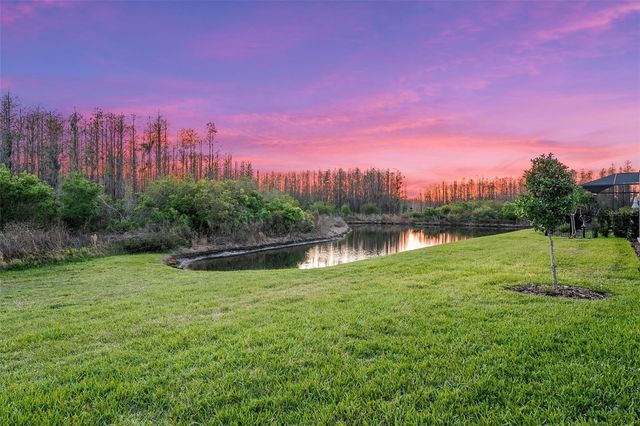 19469 SEA GLASS CIRCLE, Land O Lakes, FL 34638