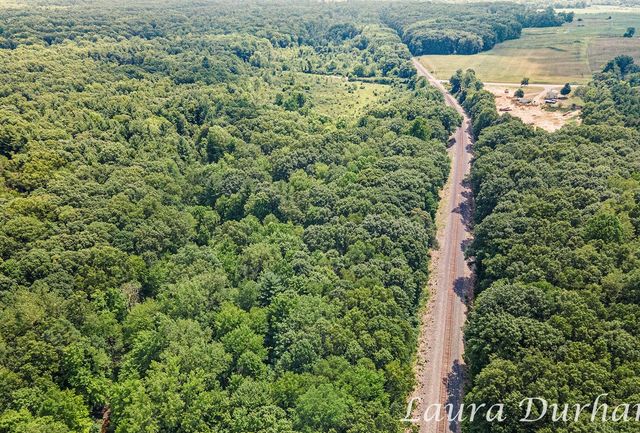 56th street, Fennville, MI 49408