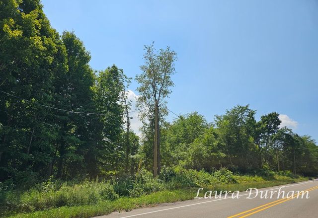 56th street, Fennville, MI 49408