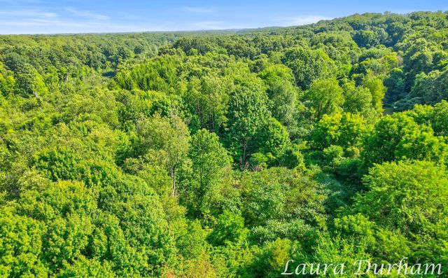 56th street, Fennville, MI 49408