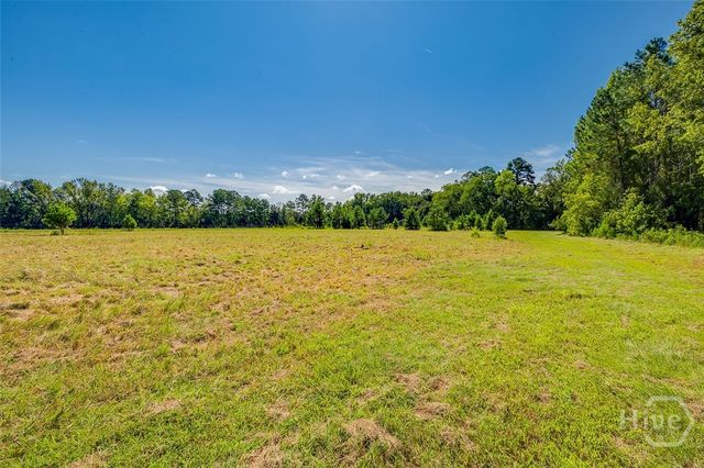 215 Lorenzo Hurst Road, Springfield, GA 31329