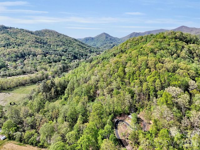 455 Chinquapin Road, Canton, NC 28716