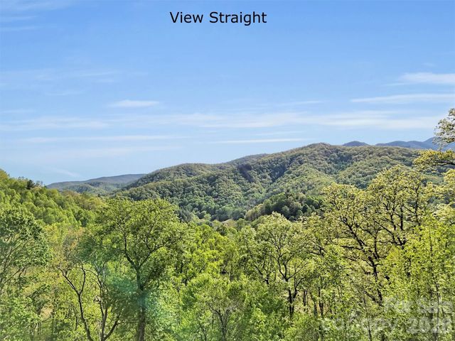 455 Chinquapin Road, Canton, NC 28716