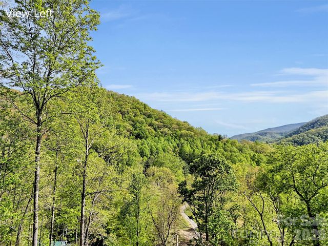 455 Chinquapin Road, Canton, NC 28716