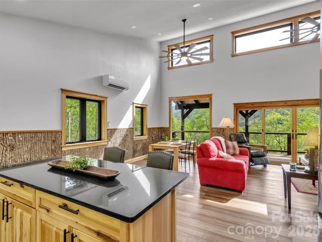455 Chinquapin Road, Canton, NC 28716