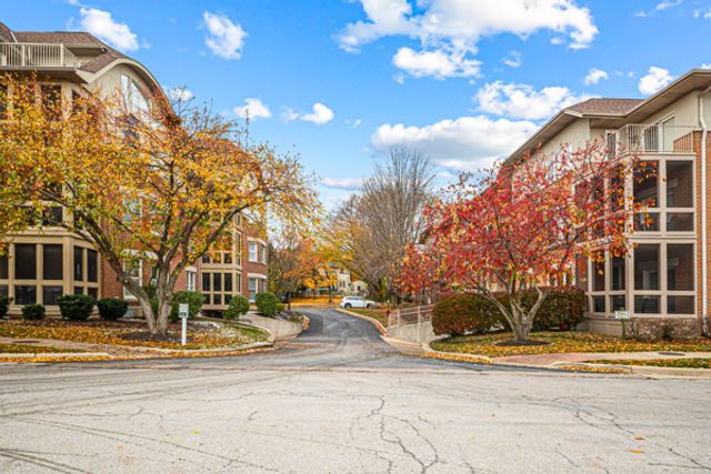 10 Ford Street 103, Geneva, IL 60134