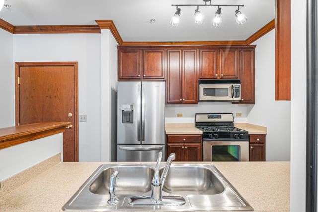 10 Ford Street 103, Geneva, IL 60134