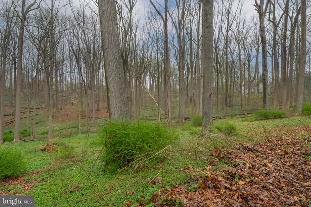 13008 DULANEY VALLEY RD, Glen Arm, MD 21057