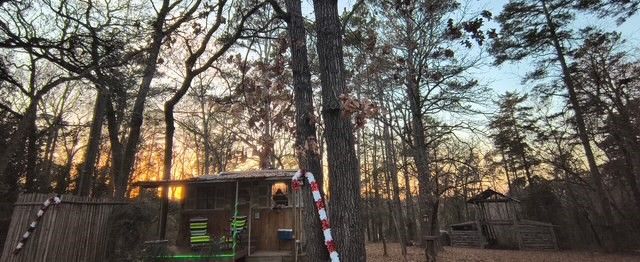 106 Sandy Lane Road, Scroggins, TX 75480