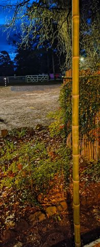 106 Sandy Lane Road, Scroggins, TX 75480