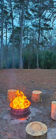 106 Sandy Lane Road, Scroggins, TX 75480