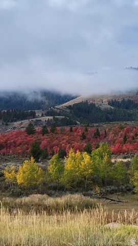 207 ASPEN CREEK CIR, Fish Haven, ID 83287