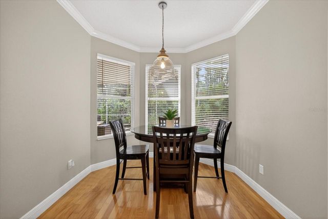 11115 AVERY OAKS DRIVE, Tampa, FL 33625