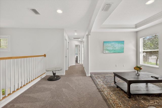 11115 AVERY OAKS DRIVE, Tampa, FL 33625