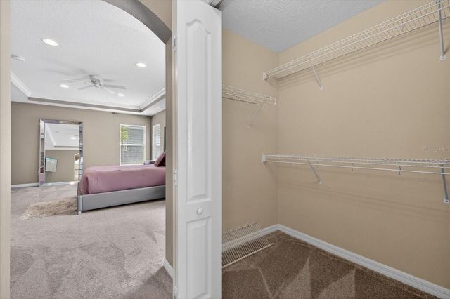 11115 AVERY OAKS DRIVE, Tampa, FL 33625