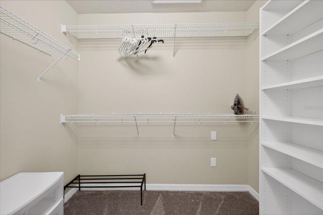 11115 AVERY OAKS DRIVE, Tampa, FL 33625