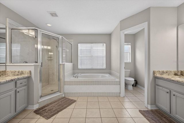 11115 AVERY OAKS DRIVE, Tampa, FL 33625