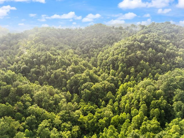 492 Sugar Camp Road, Booneville, KY 41314