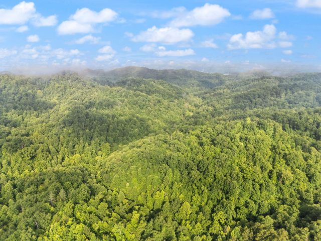 492 Sugar Camp Road, Booneville, KY 41314