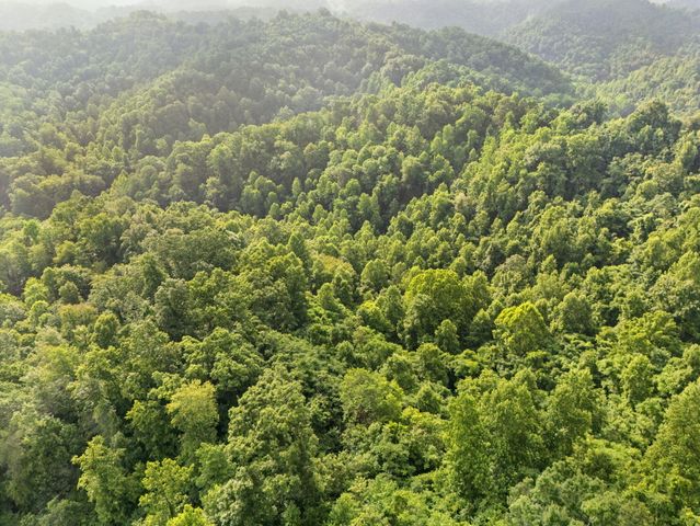 492 Sugar Camp Road, Booneville, KY 41314
