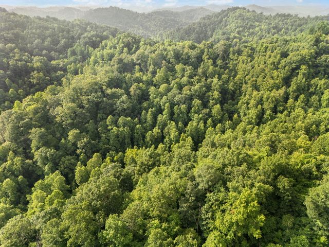 492 Sugar Camp Road, Booneville, KY 41314