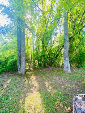 .89 Fairview Road, Gadsden, AL 35904