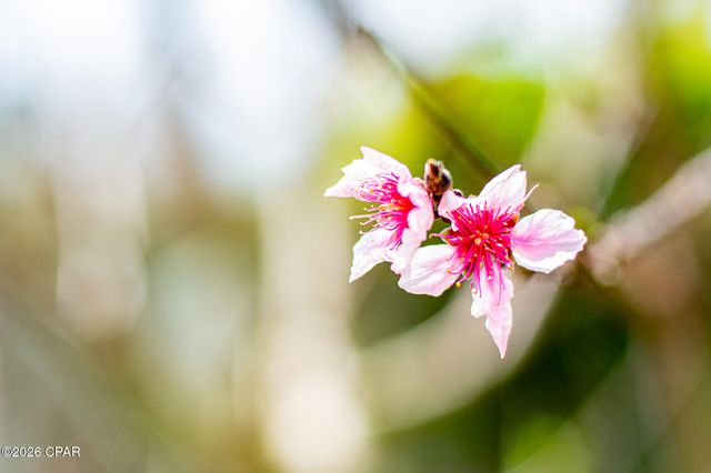 1025 W 19th Street 10C, Panama City, FL 32405